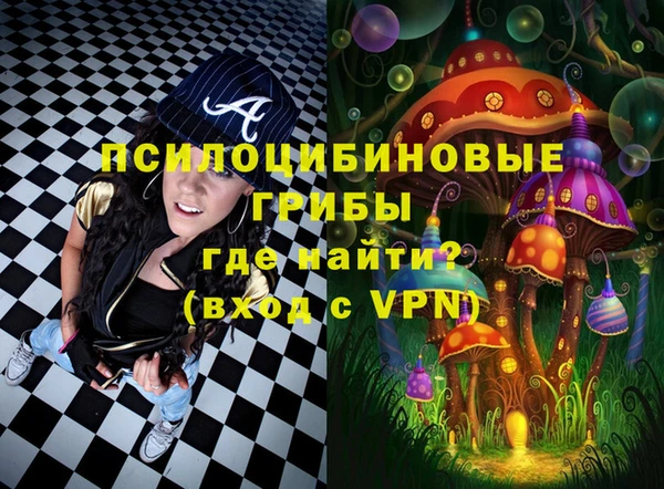 прущие крисы Горняк