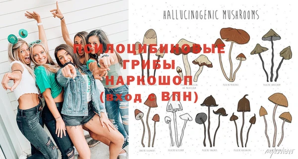 Альфа ПВП Горнозаводск