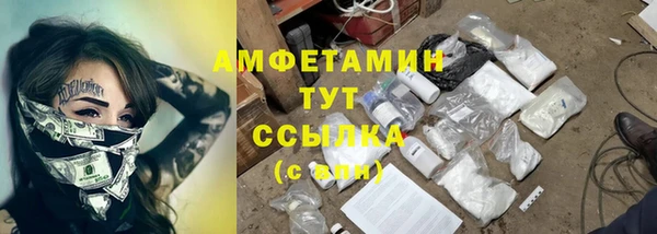 прущие крисы Горняк