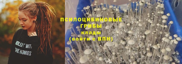 прущие крисы Горняк