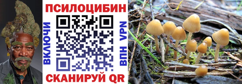 Галлюциногенные грибы MAGIC MUSHROOMS  Купить где  Подпорожье 